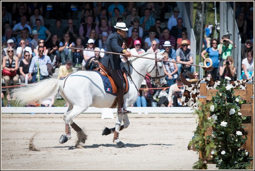 Pferd International 119